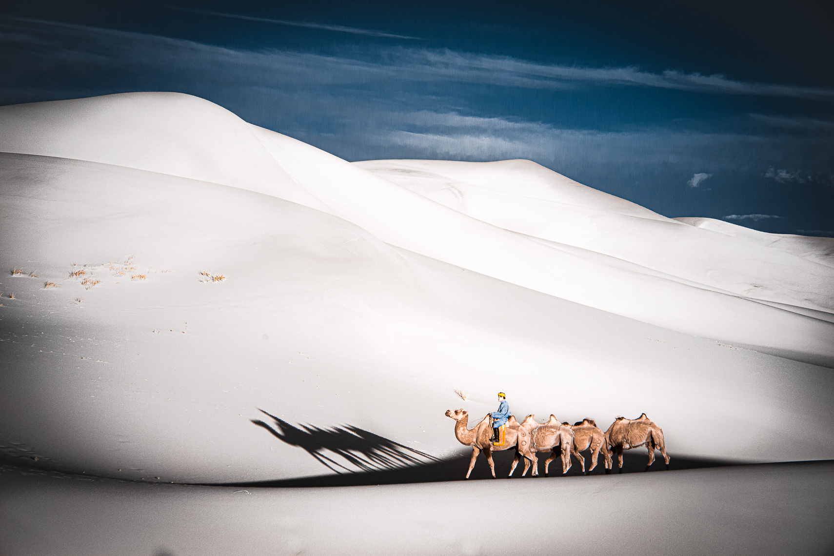 24_201907_Mongolia_6443_v1